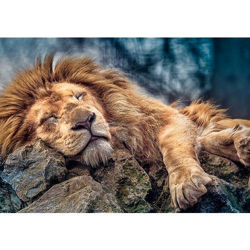 Puzzle 1000 pcs Leão a Dormir - Image 2
