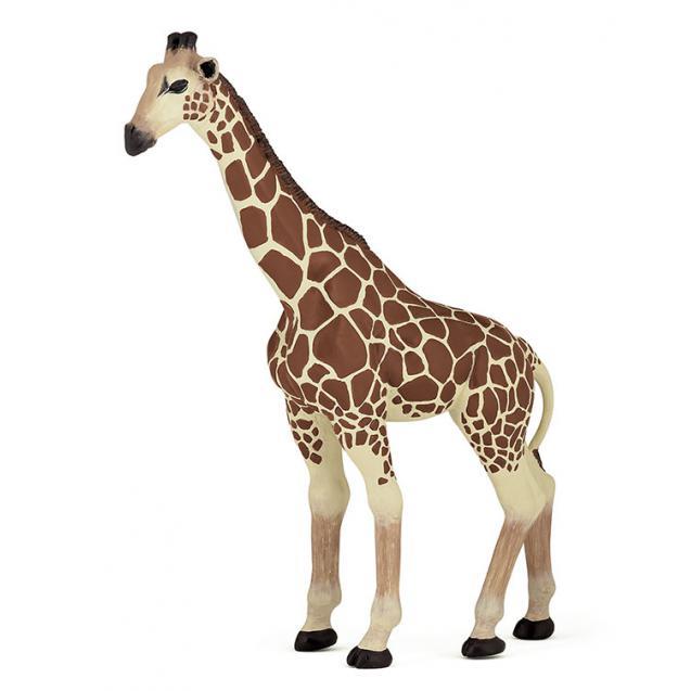 Girafa