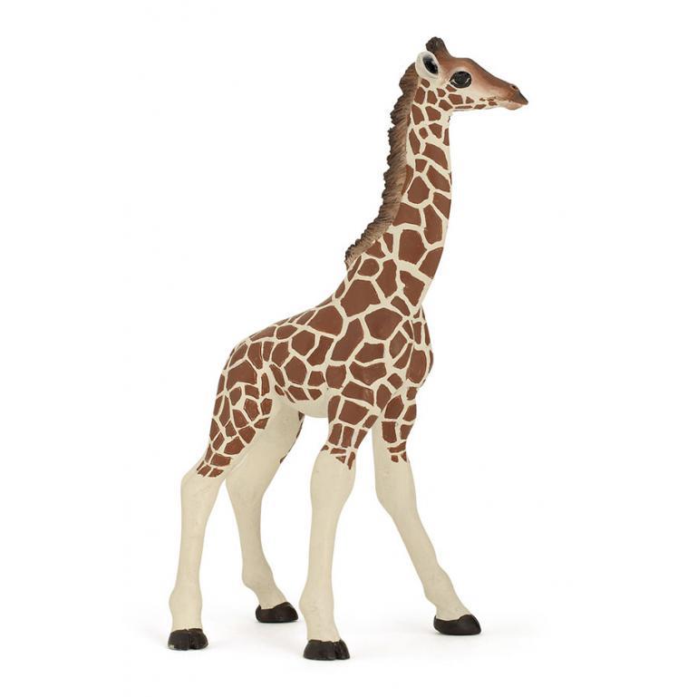 Girafa Bebé
