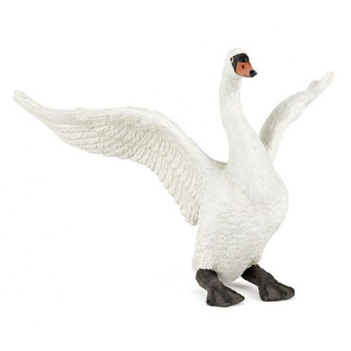 Cisne Branco