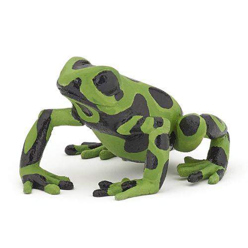 Sapo Verde Equatorial