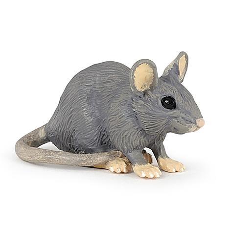 Rato Doméstico