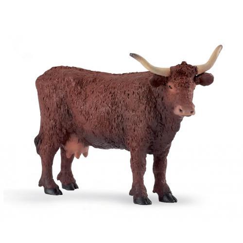 Vaca Salers