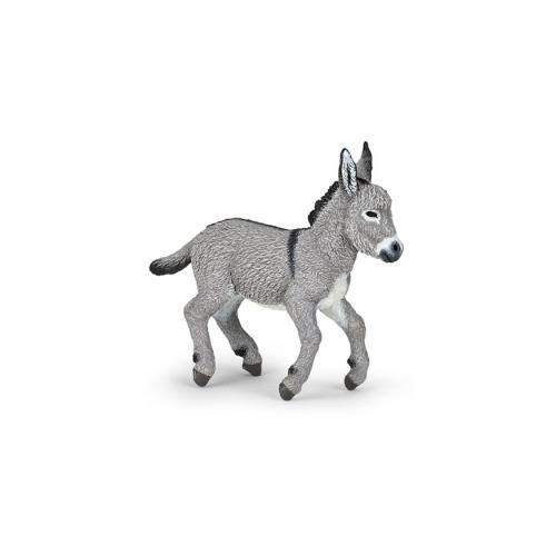 Cria de Burro de Provença