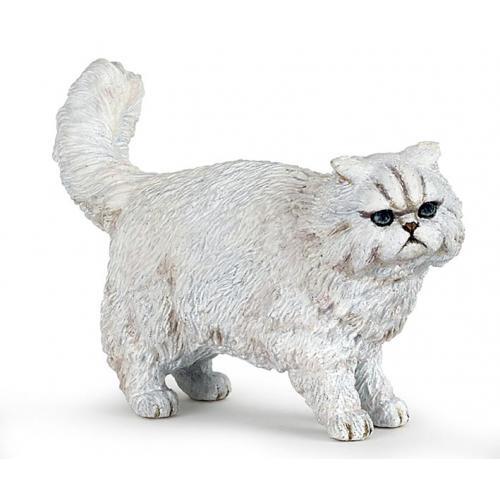 Gato Persa