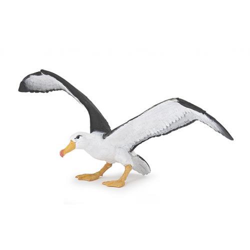Albatroz