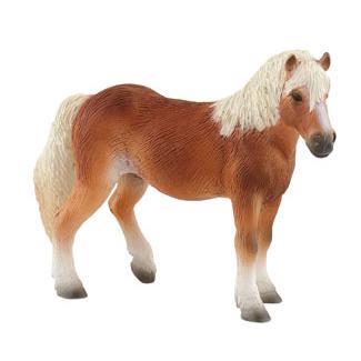 Égua Haflinger