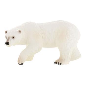 Urso Polar