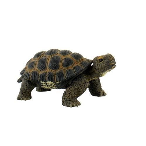 Tartaruga