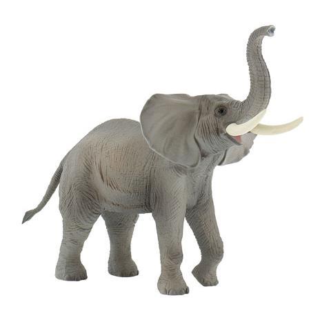 Elefante Africano