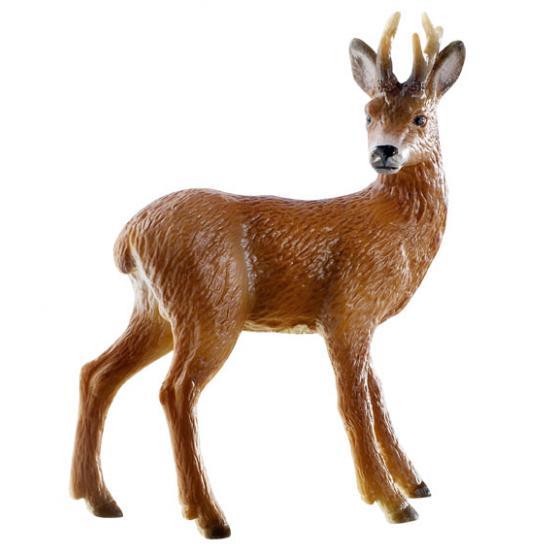 Corça