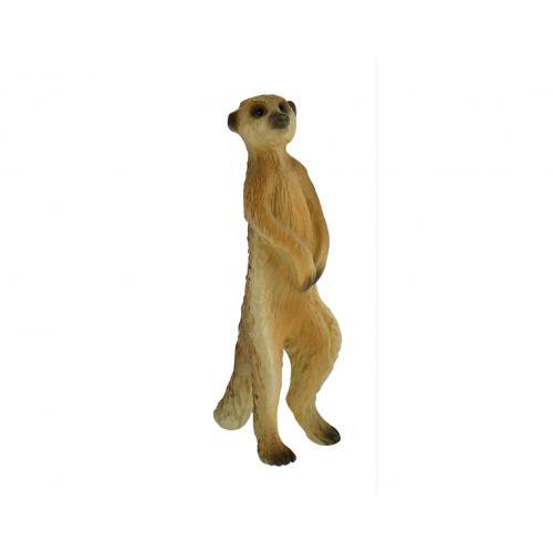 Suricata