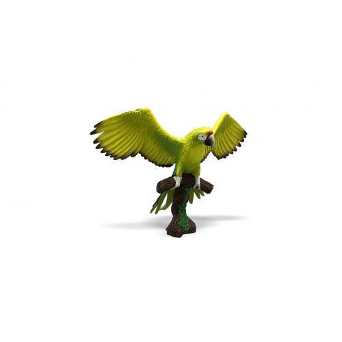 Arara Verde