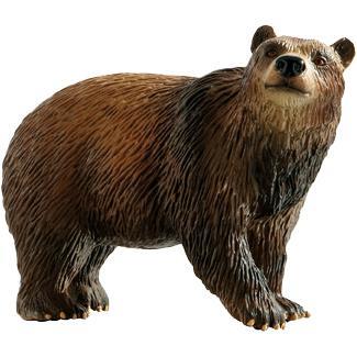 Urso Pardo