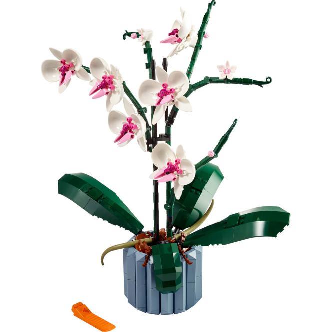 Botanicals - Orquídea - Image 4