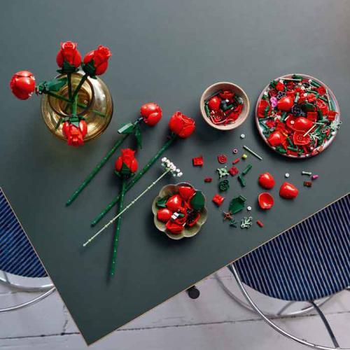 Botanicals - Buquê de Rosas - Image 7