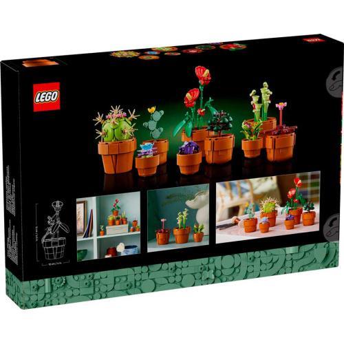 Botanicals - Plantinhas - Image 3