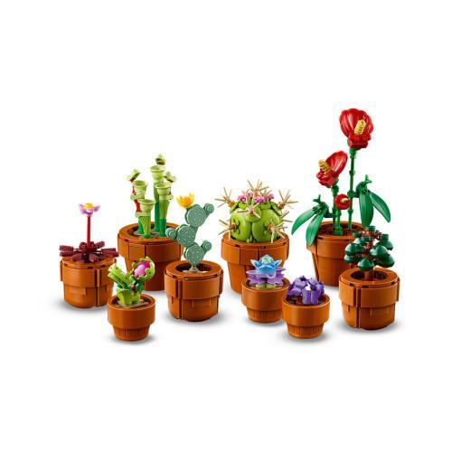 Botanicals - Plantinhas - Image 5