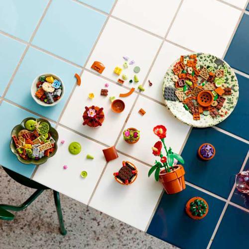 Botanicals - Plantinhas - Image 7