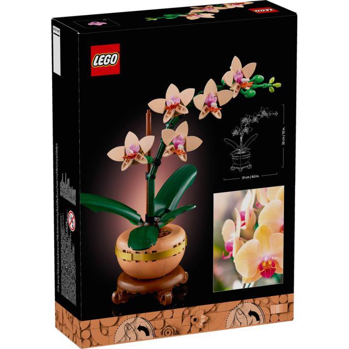 Botanicals - Mini Orquídea - Image 3