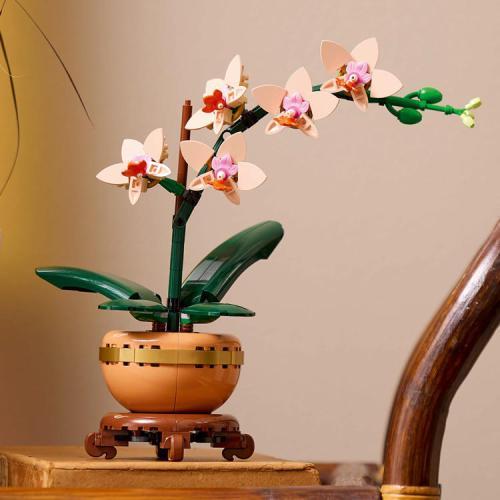 Botanicals - Mini Orquídea - Image 5