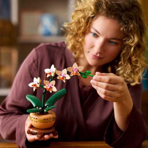 Botanicals - Mini Orquídea - Image 6