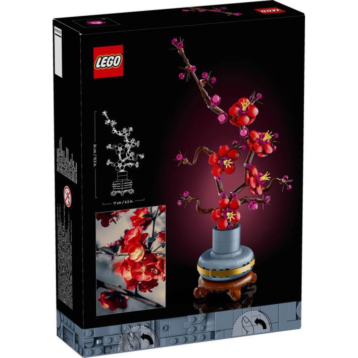 Botanicals - Flor de Ameixa - Image 3
