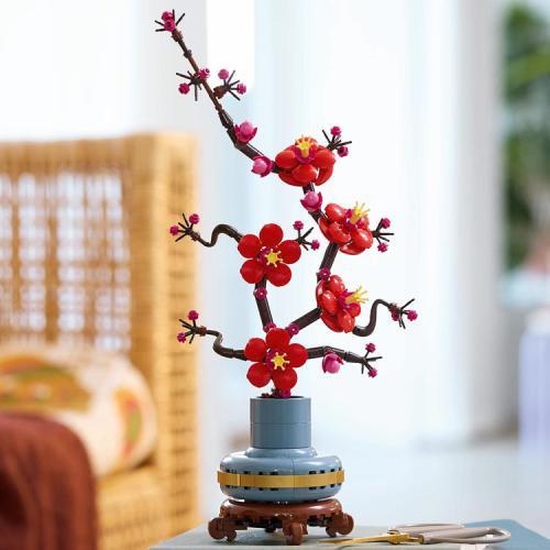 Botanicals - Flor de Ameixa - Image 7