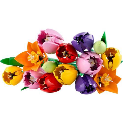 Botanicals - Buquê de Tulipas - Image 5
