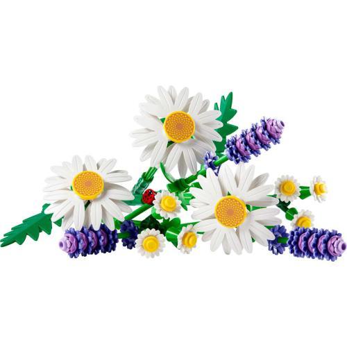 Botanicals - Margaridas - Image 5