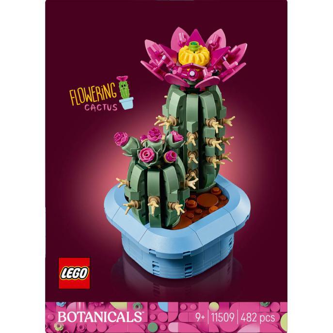 Botanicals - Cacto em Flor