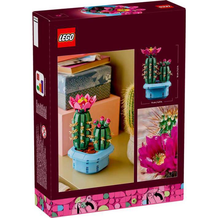 Botanicals - Cacto em Flor - Image 3