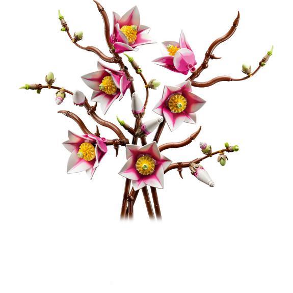 Botanicals - Ramos de Magnólia - Image 5