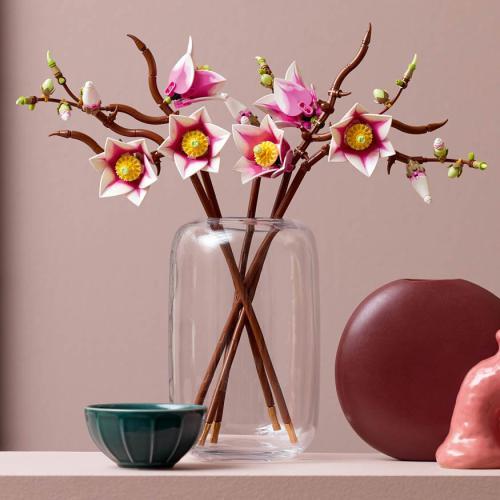 Botanicals - Ramos de Magnólia - Image 7