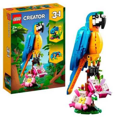Creator - Papagaio Exótico - Image 3