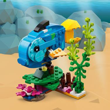 Creator - Papagaio Exótico - Image 4