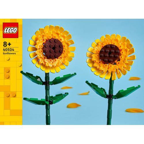 Botanicals - Girassóis - Image 2