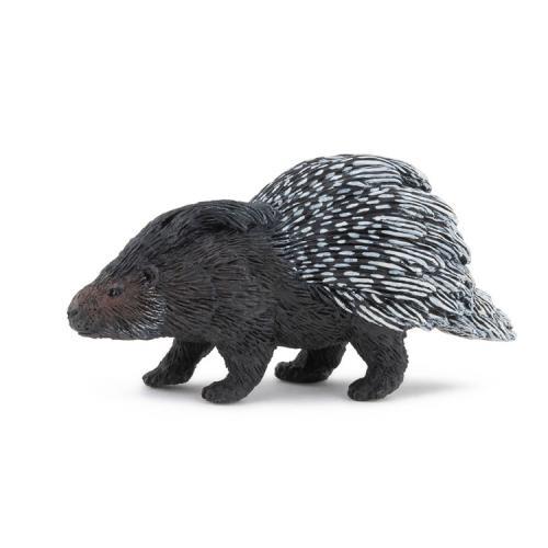 Porco-Espinho
