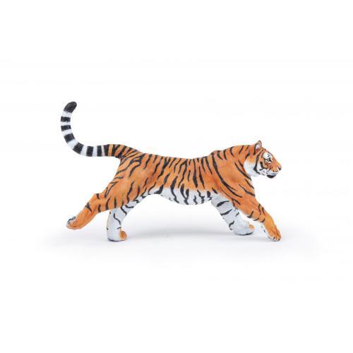 Tigre-corredor