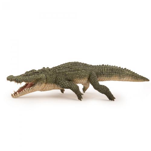 Crocodilo de água salgada