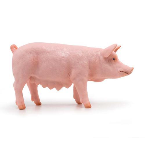 Porca
