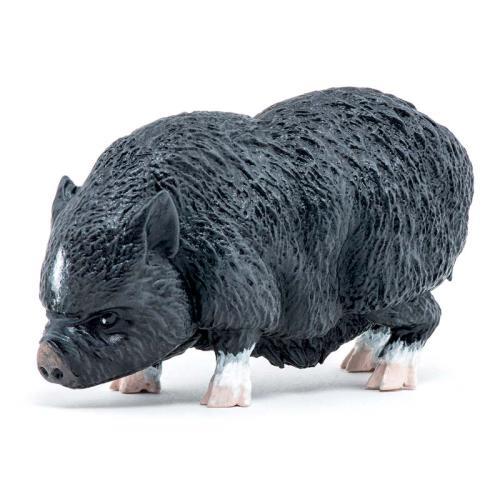 Porco Vietnamita
