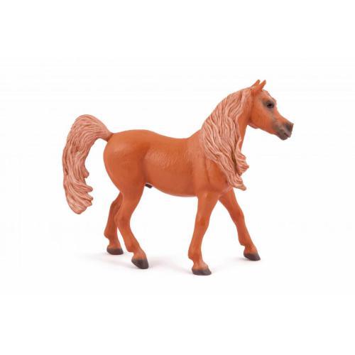 Cavalo árabe alazão