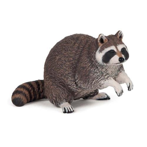 Guaxinim