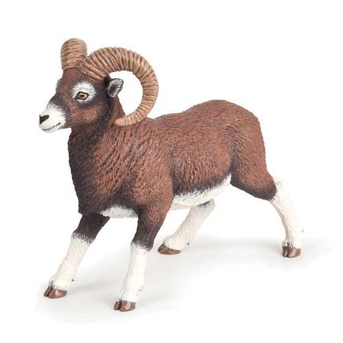 Ovelha Mufflon