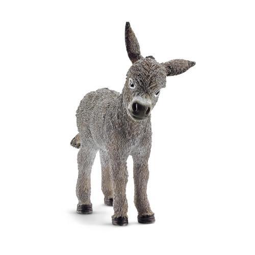 Burro pequeno