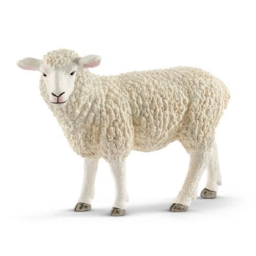 Ovelha