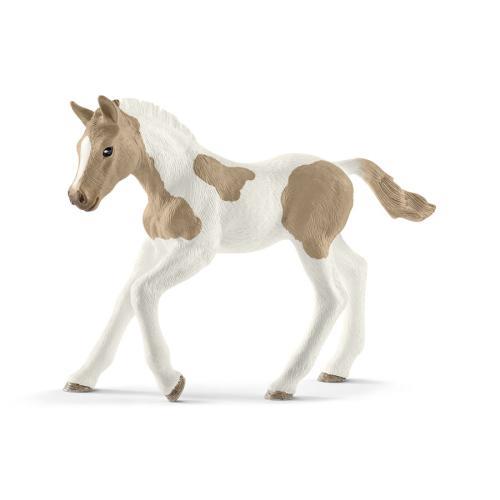 Potro Paint Horse