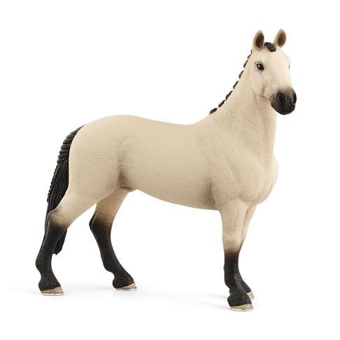 Cavalo capão hanoveriano baio