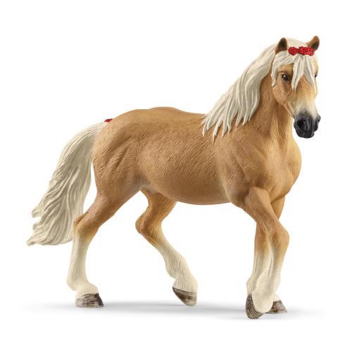 Égua Haflinger